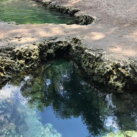 The Suwannee River Hide-A-Way Mayo Exteriör bild